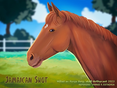 Jamaican Shot