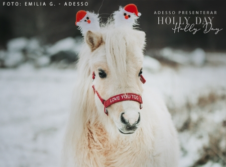 Holly Day