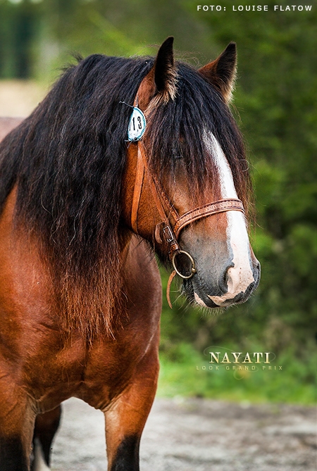 Nayati