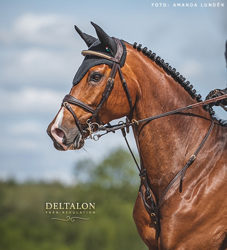 Deltalon