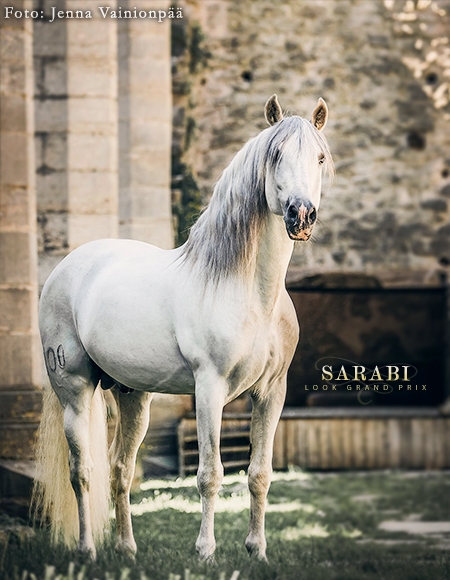 Sarabi