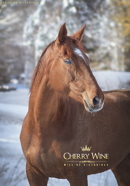 Cherry Wine