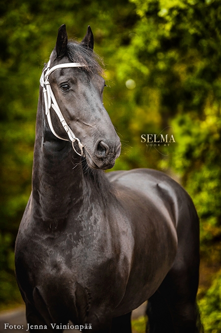 Selma