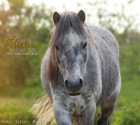 Altairus