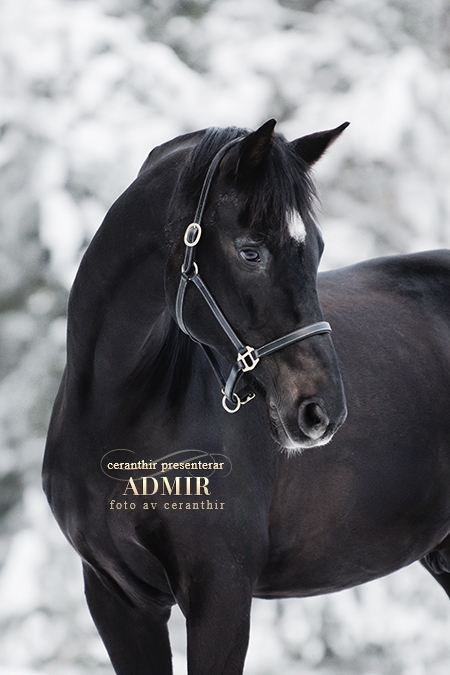 Admir