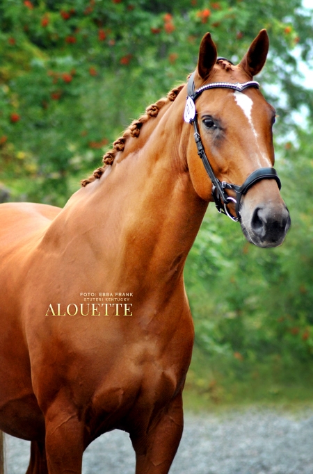 Alouette