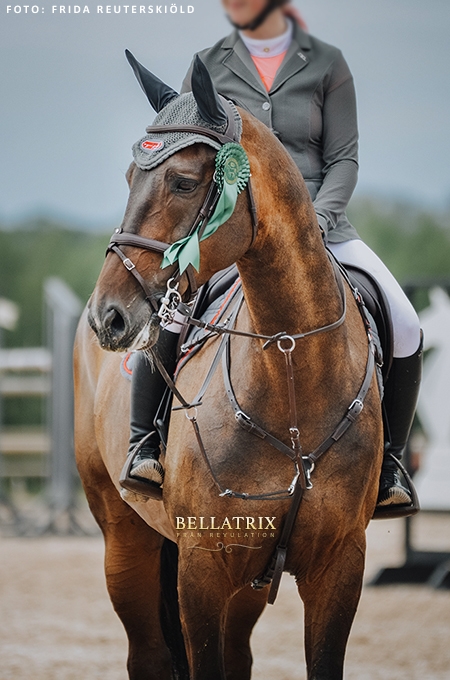 Bellatrix