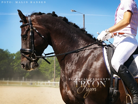 Tryon