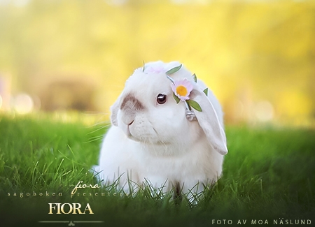 Fiora