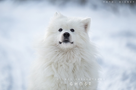 Ghost