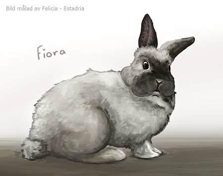 Fiora