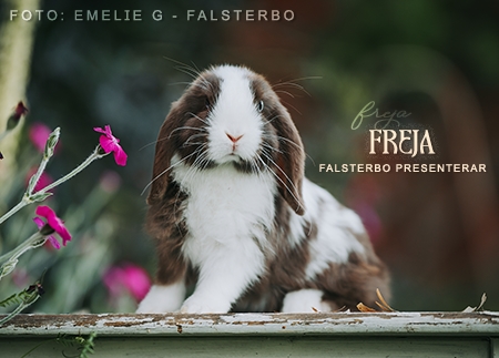 Freja