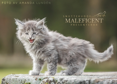 Maleficent