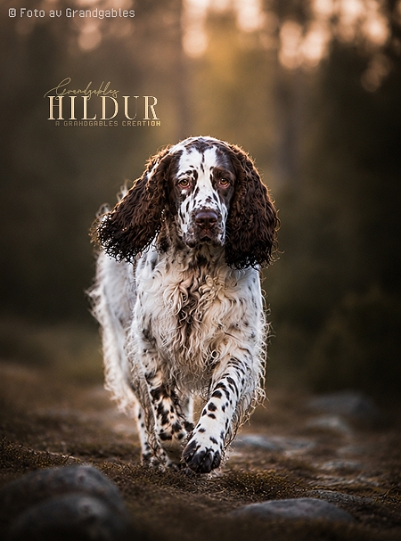 Hildur