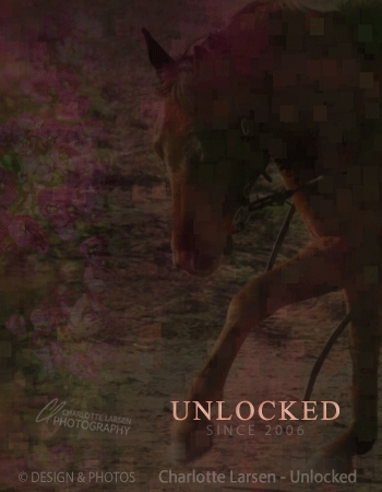 Unlocked