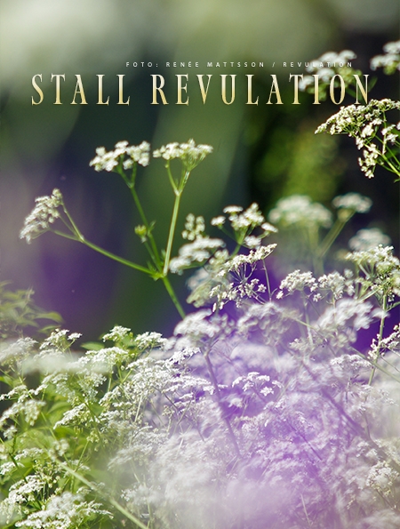 Revulation