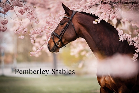 Pemberley