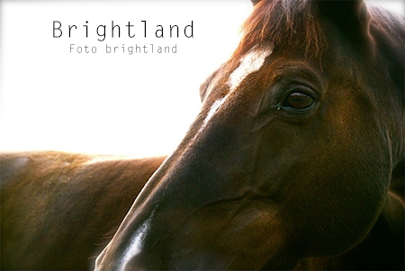 Brightland