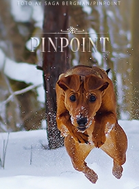 Pinpoint