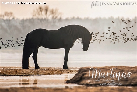 Martinus