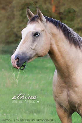 Athina