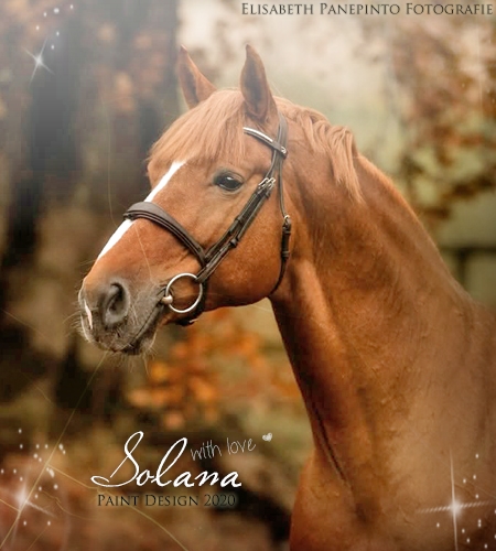 Solana