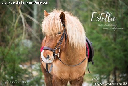 Lov_s Estella