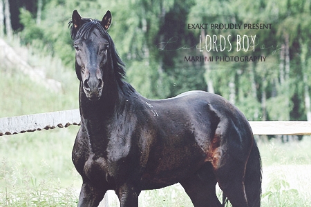 Lords Boy