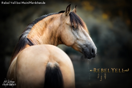 Rebel Yell