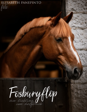 Fosburyflop