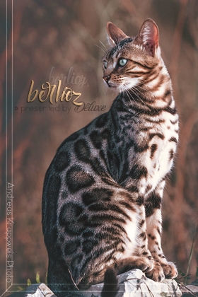 Berlioz