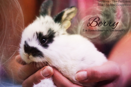 Berry