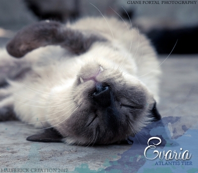 Evaria