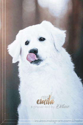 Emila