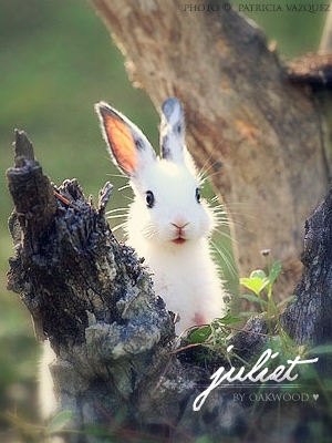 Juliet
