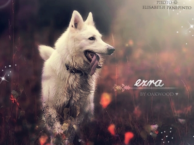 Ezra