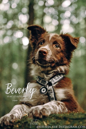 Beverly