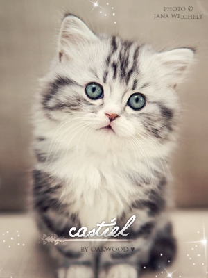 Castiel