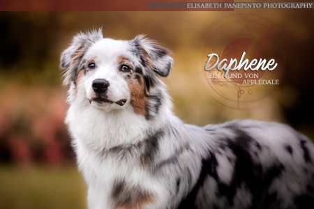 Daphene