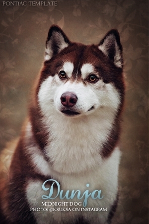 Dunja