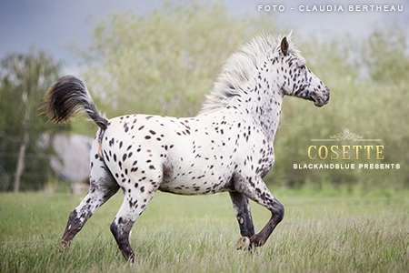 Cosette
