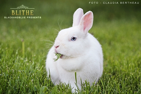 Blithe