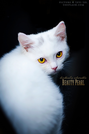 Beauty Pearl