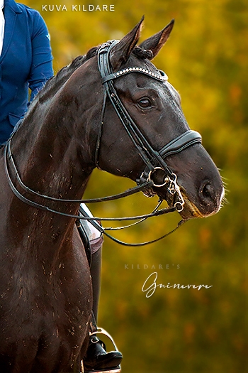 Guinevere K