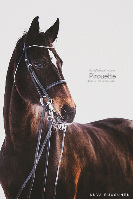 Pirouette