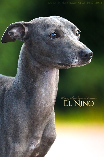 El Nino