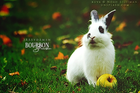 Bourbon