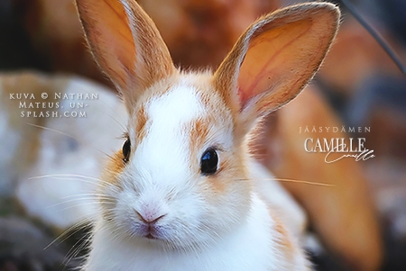 Camille