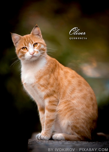 Oliver