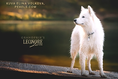 Leonore